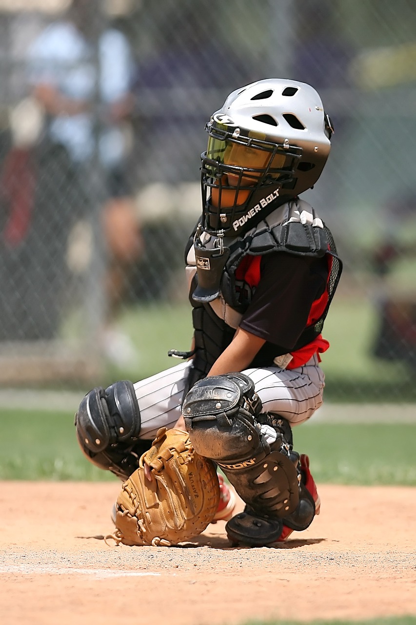 baseball catcher player free photo