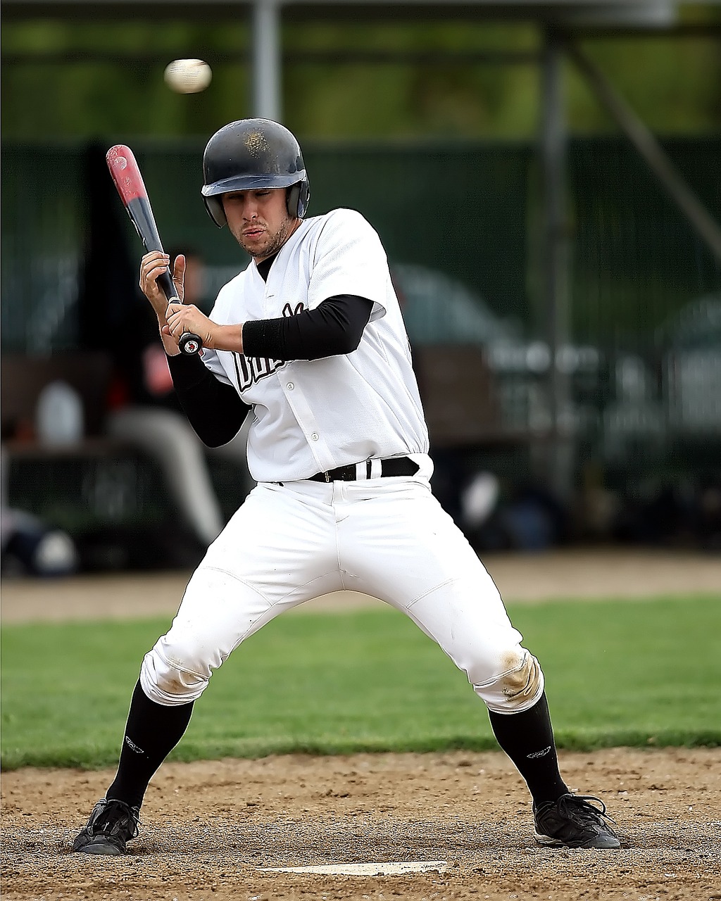 baseball player sport free photo