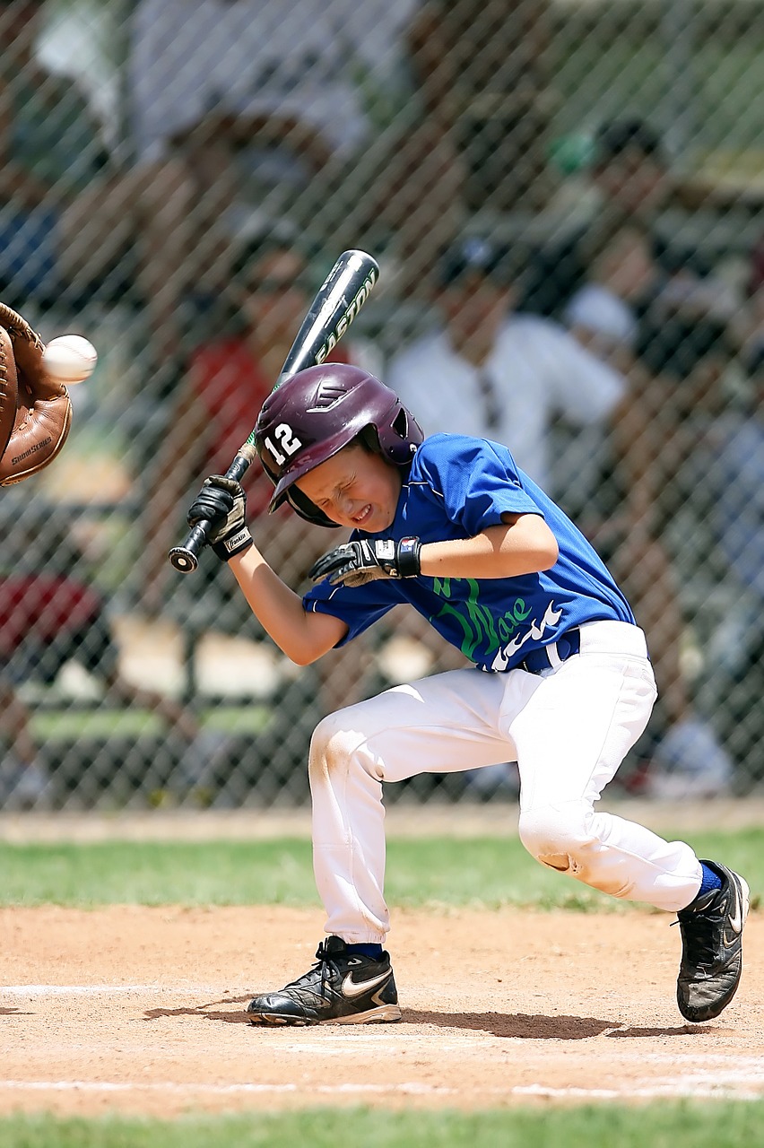 baseball little league batter free photo