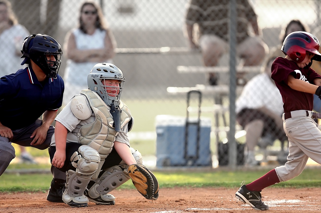 baseball little league sport free photo