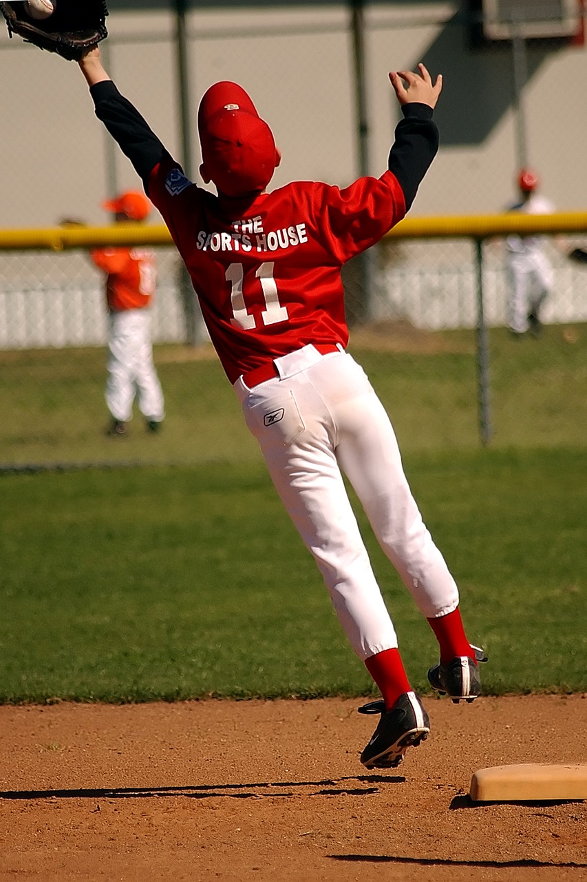 baseball catching leaping free photo