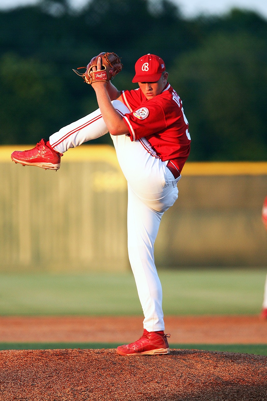 baseball pitcher action free photo