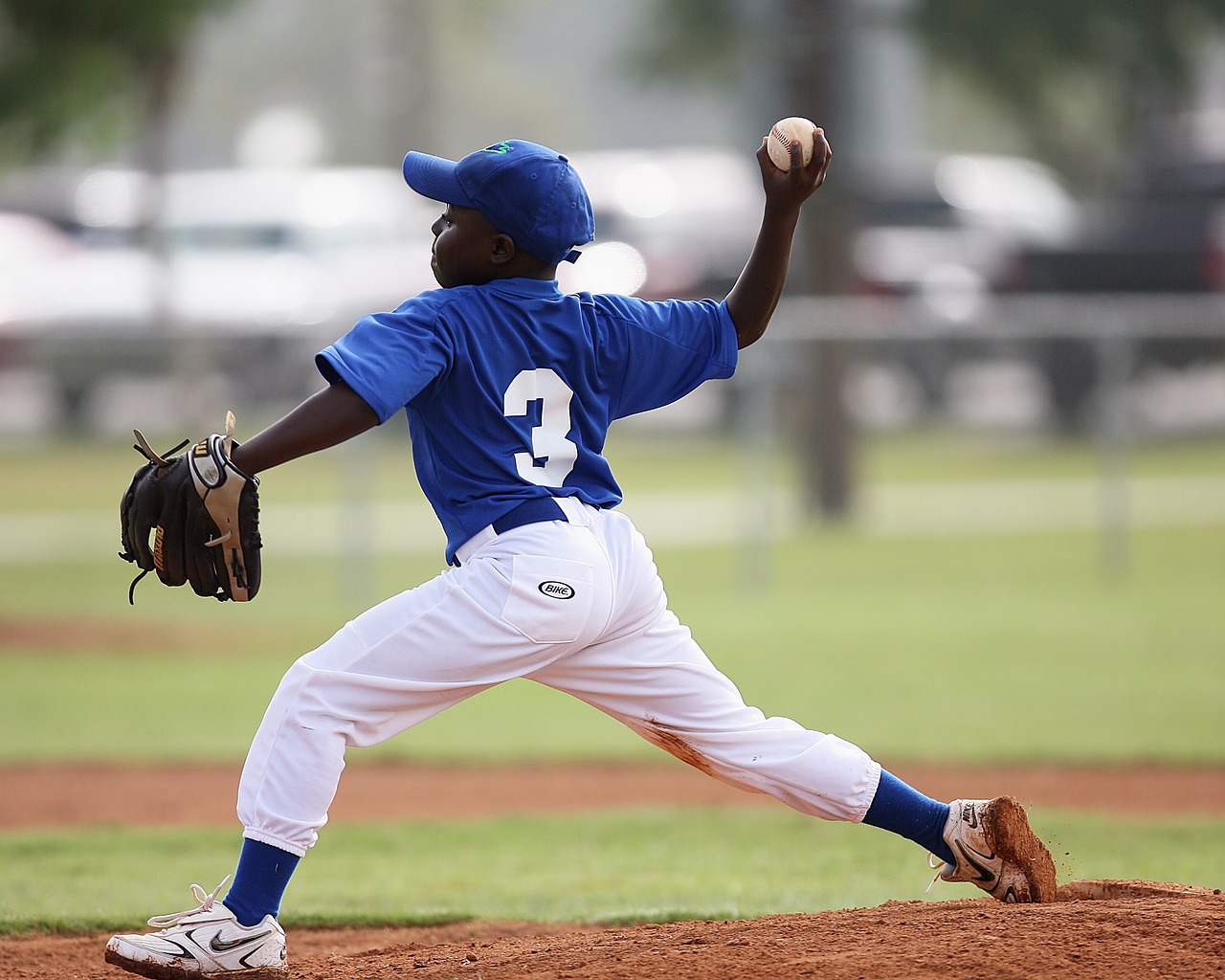 baseball pitcher pitching free photo