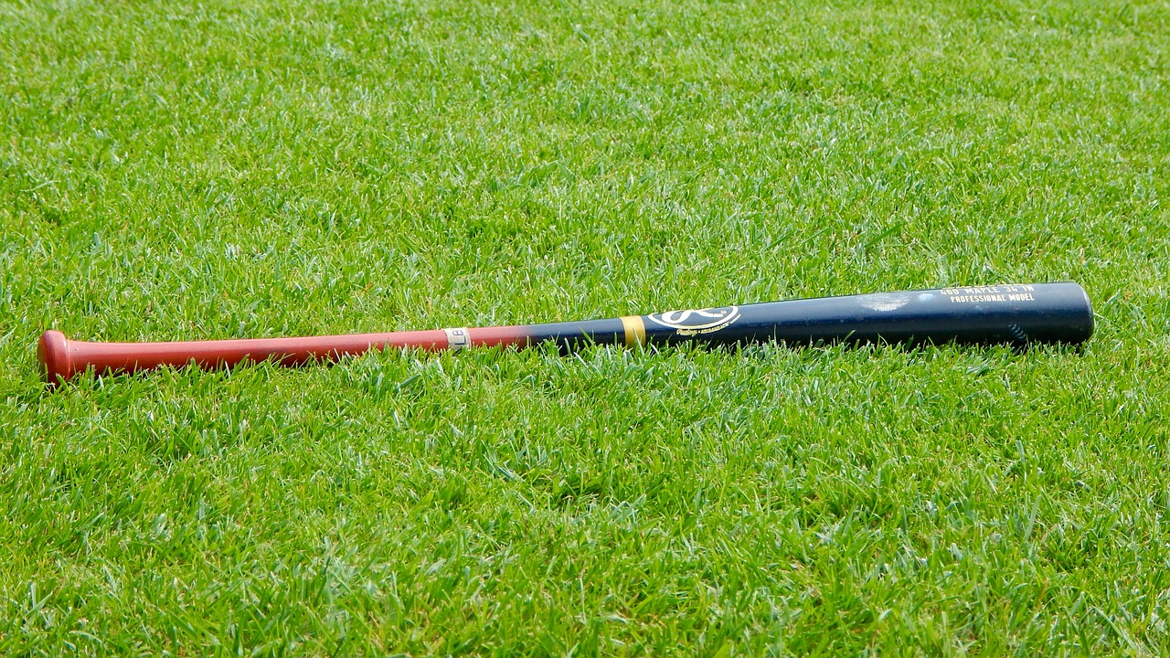 baseball baseball bat sport free photo