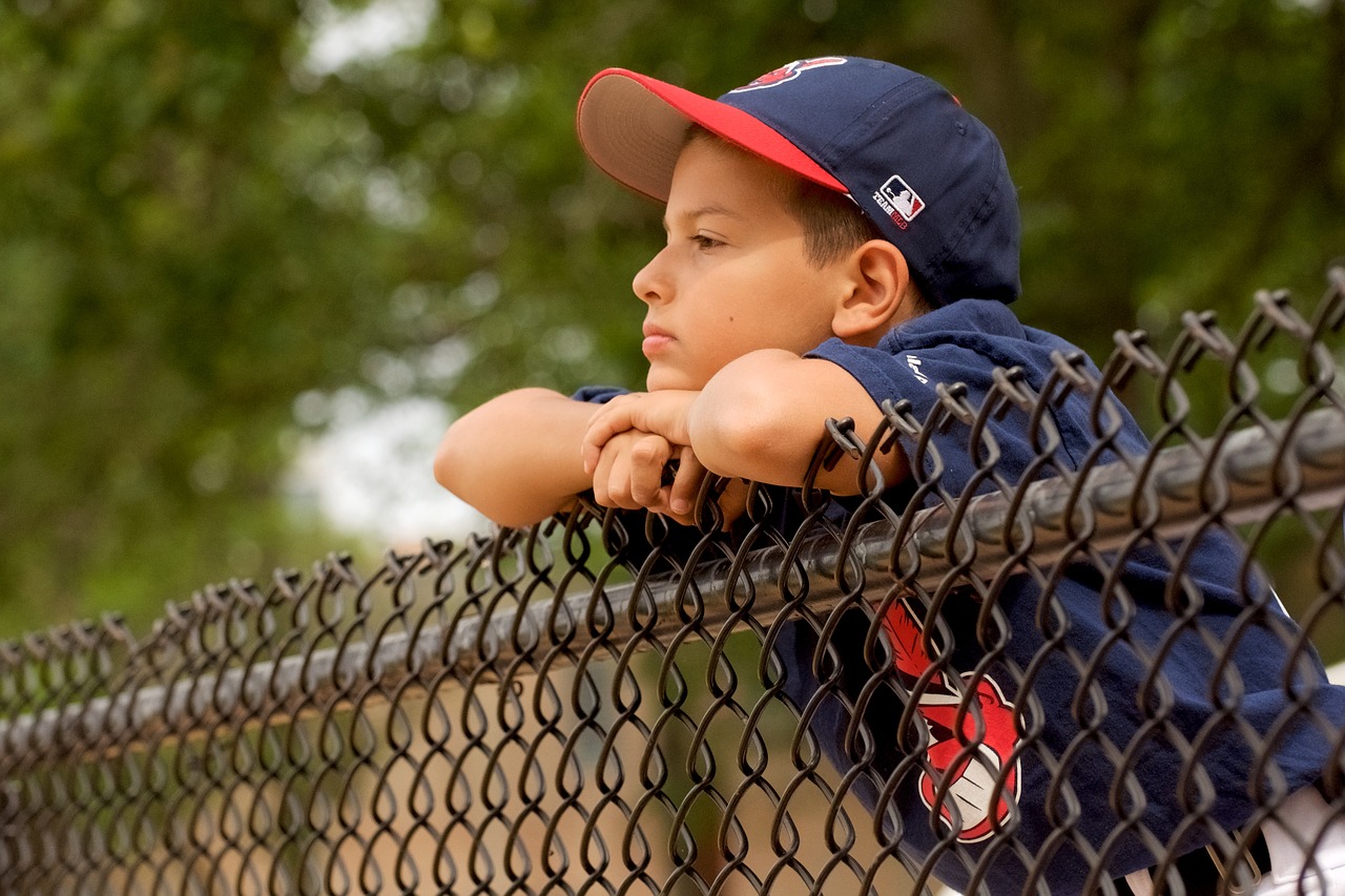 baseball fence cleveland free photo