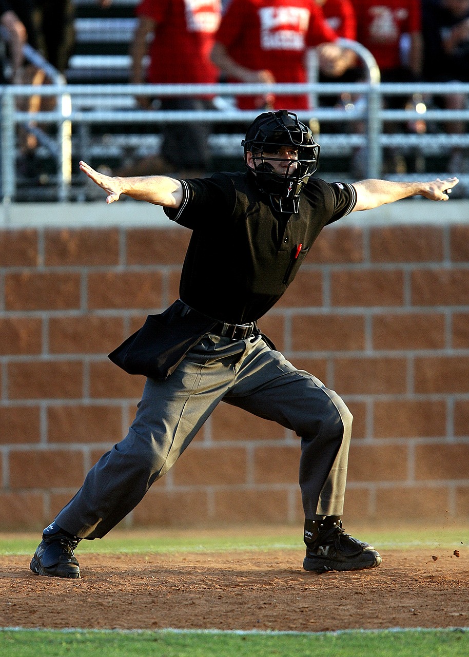 baseball sport umpire free photo
