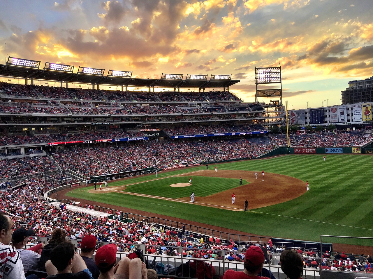 baseball baseball game sunset free photo