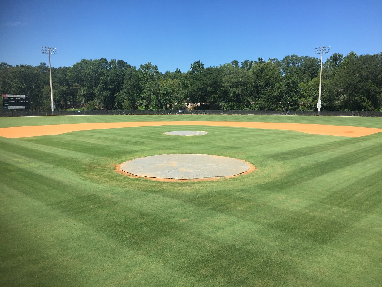 baseball baseball field base free photo