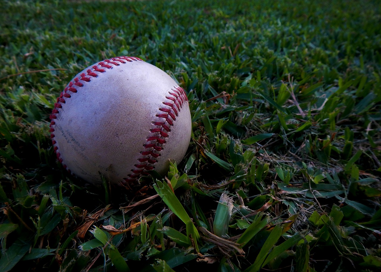 baseball ball sport free photo