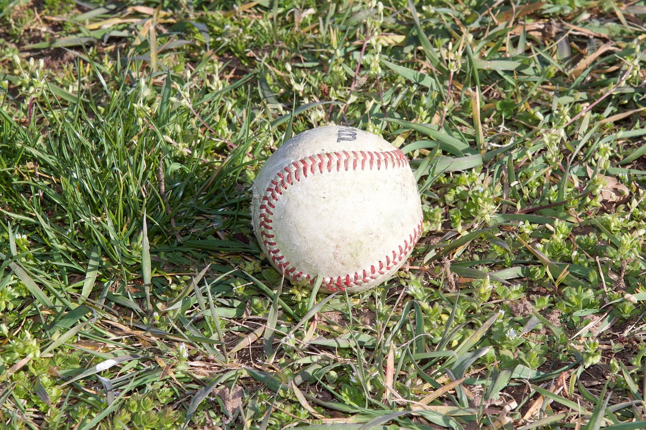 baseball  sport  ball free photo