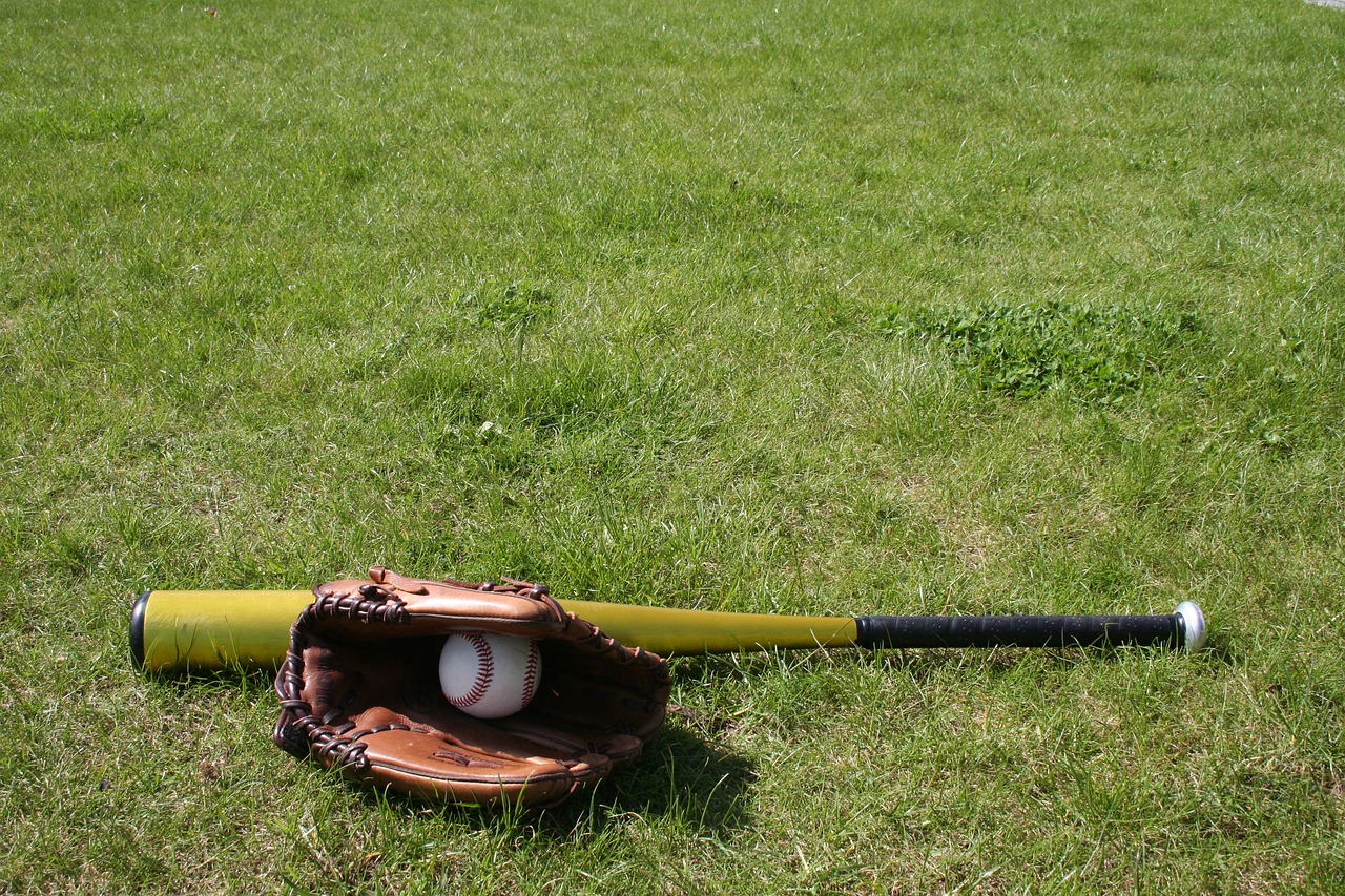 baseball  glove  bat free photo