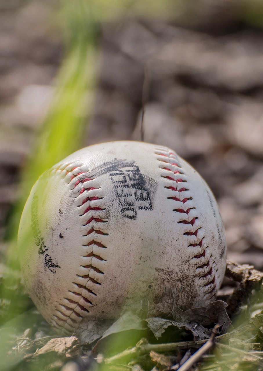 baseball  leaves  autumn free photo