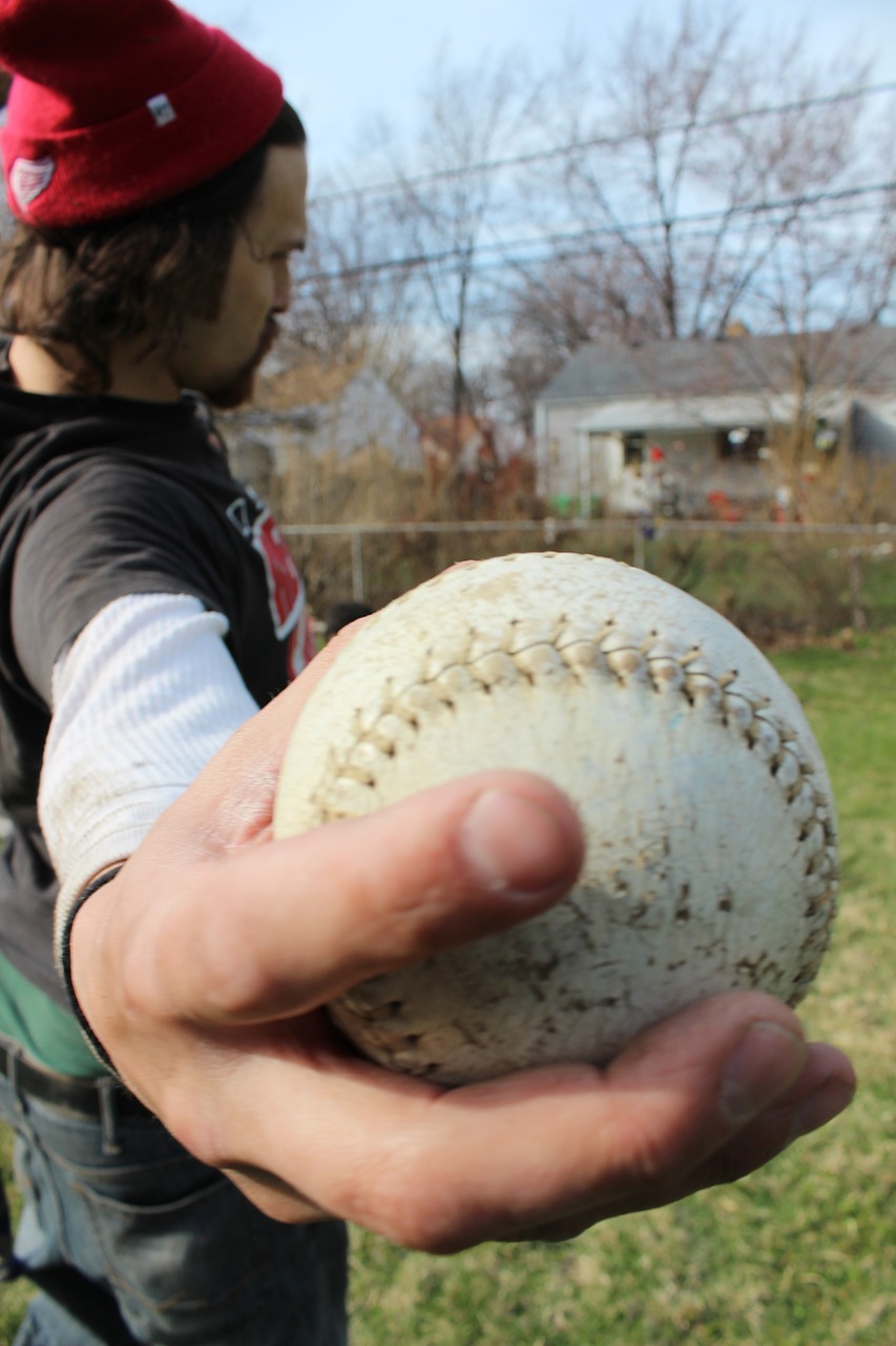 baseball game sport free photo