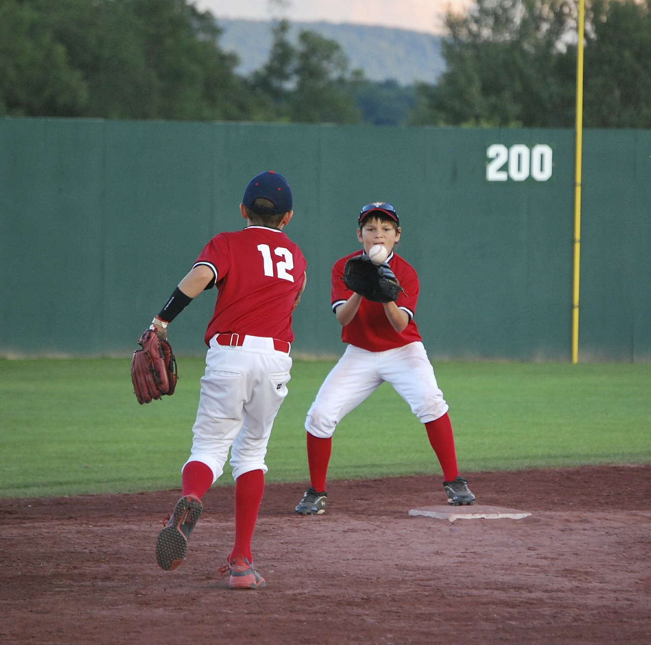 baseball boys sport free photo