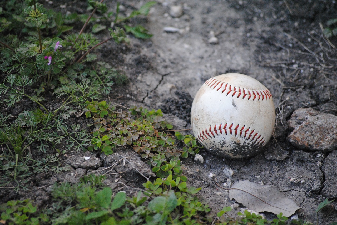 baseball fallen accessory free photo