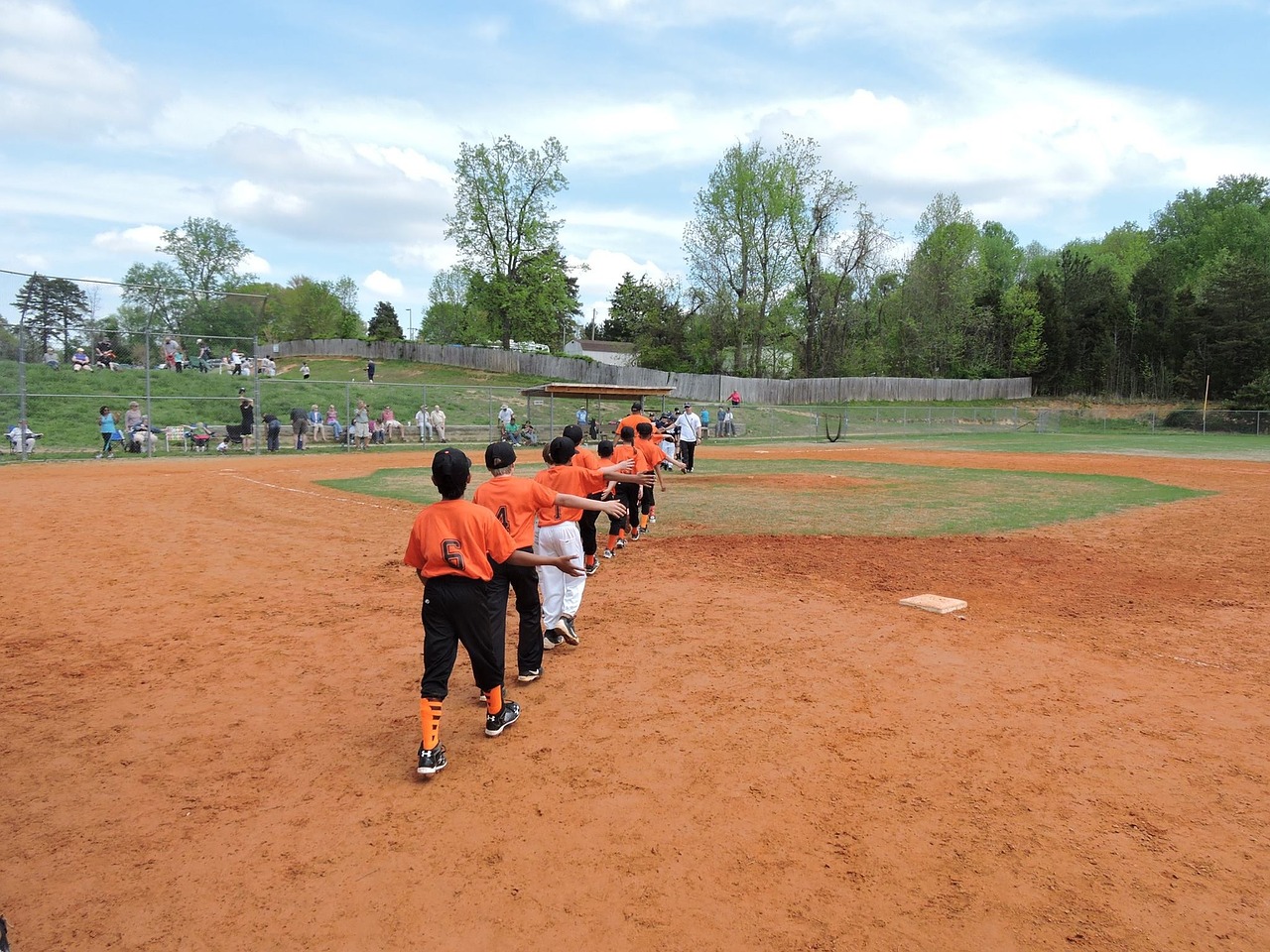 baseball sport children free photo