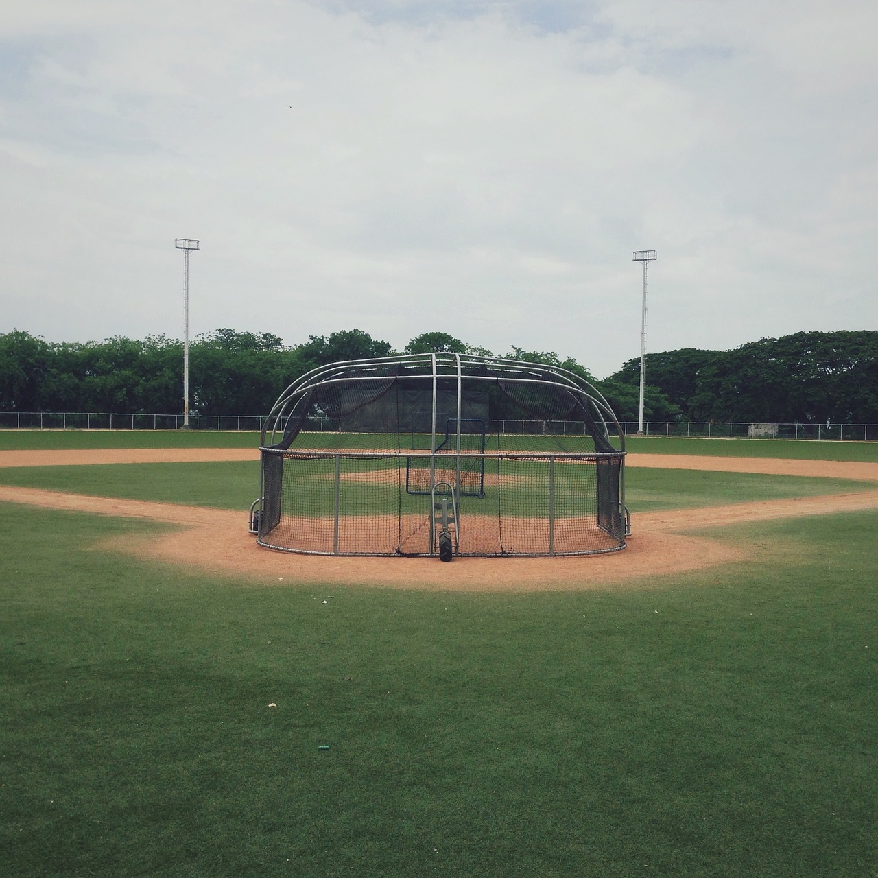 baseball diamond field grass free photo