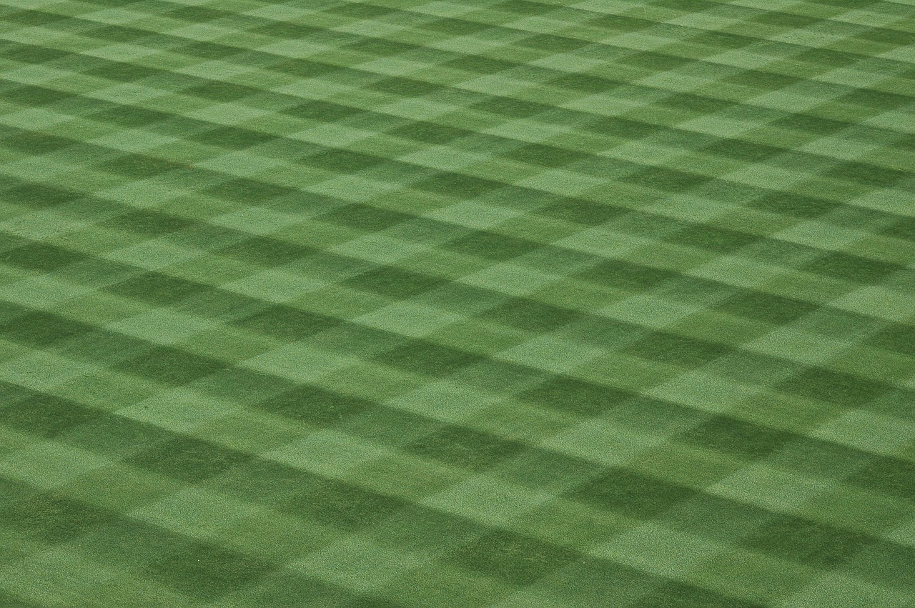 baseball field landscape lawn free photo