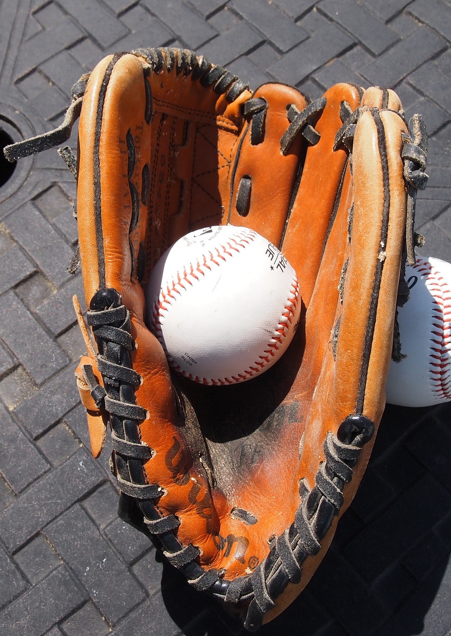 baseball glove baseball sports free photo