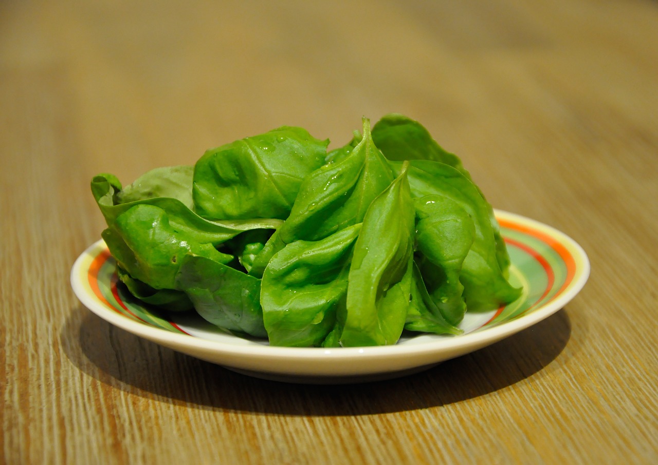 basil plate green free photo