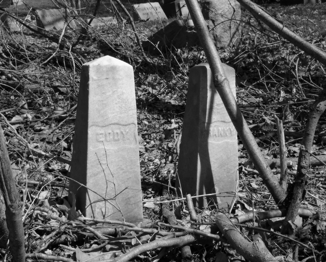 basilisk tombstone cemetery free photo