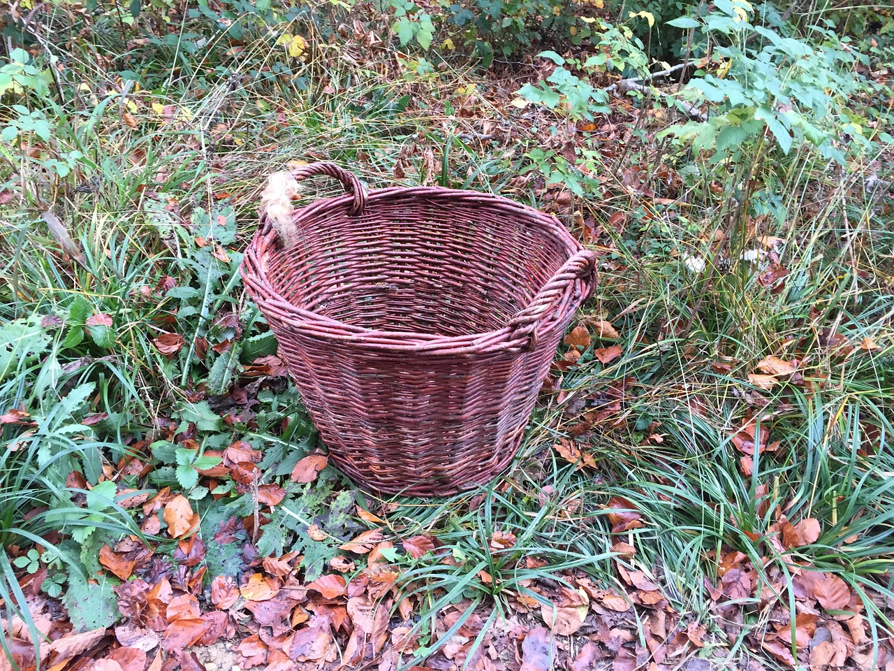 basket pasture brown free photo
