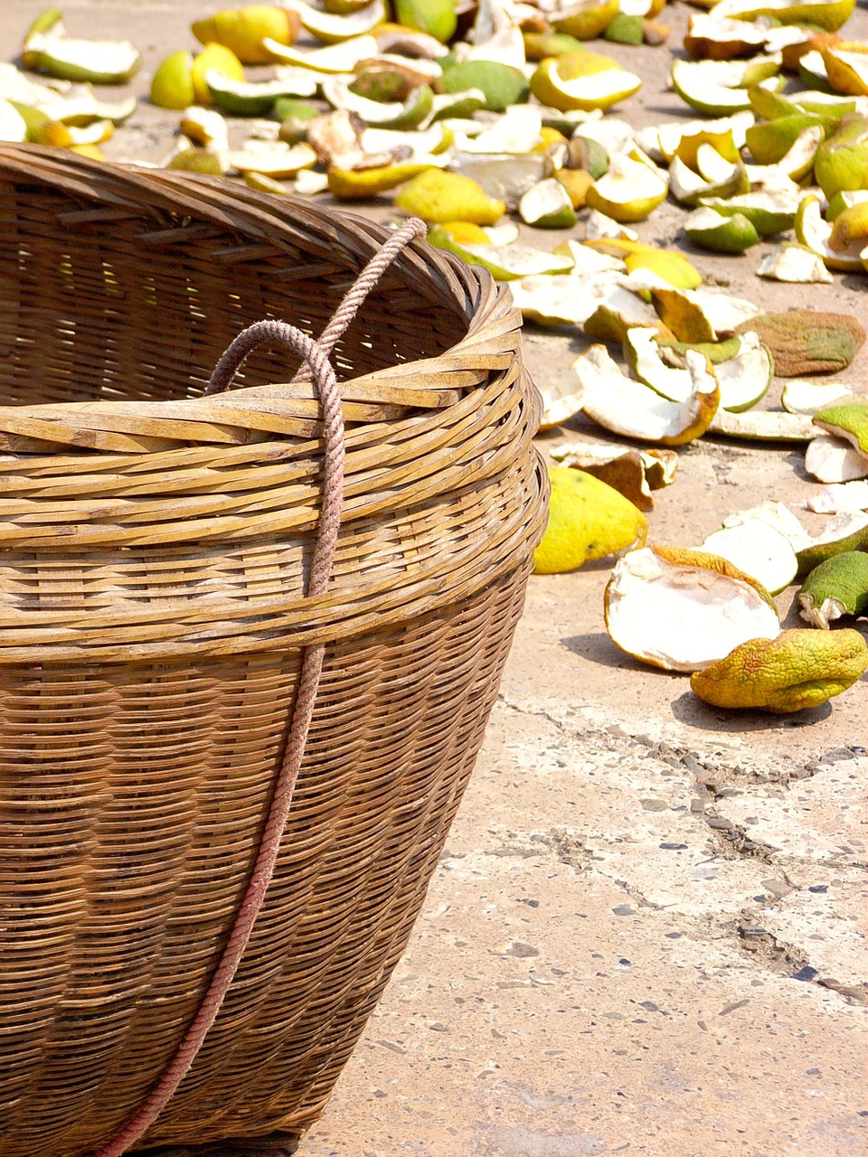 basket lemon orange free photo