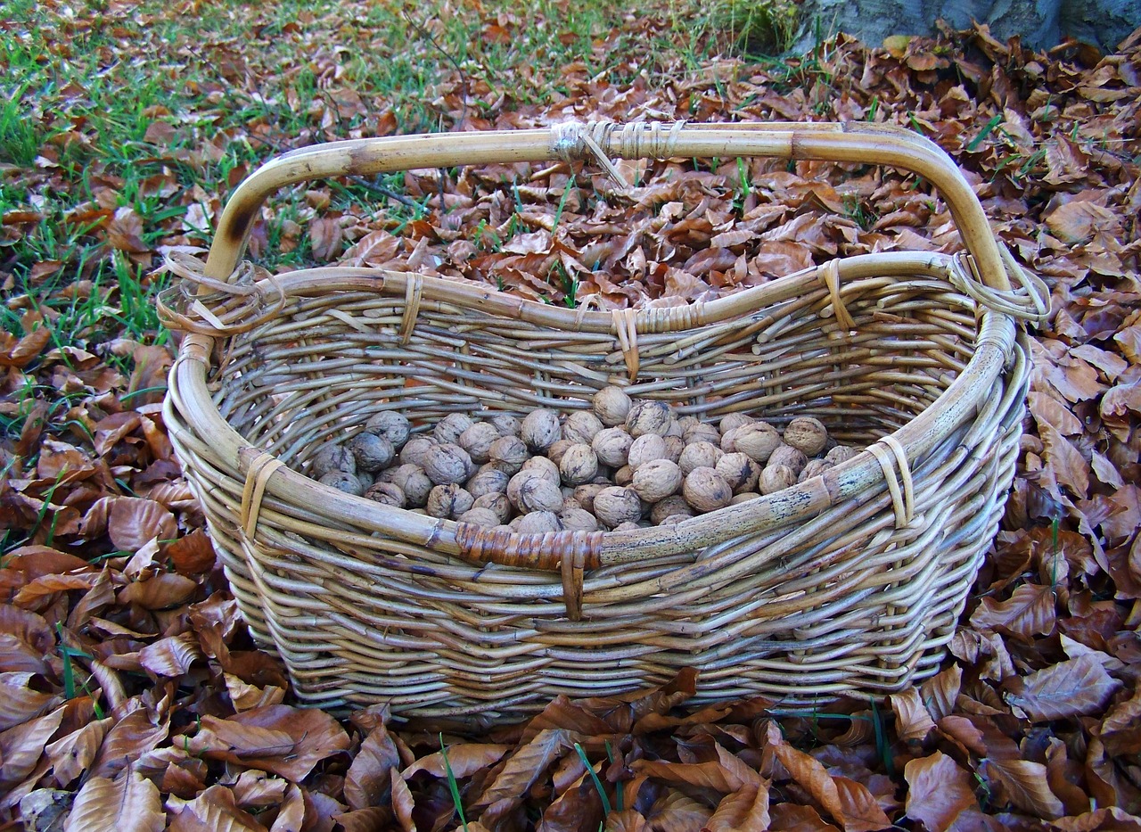 basket wicker basket free pictures free photo