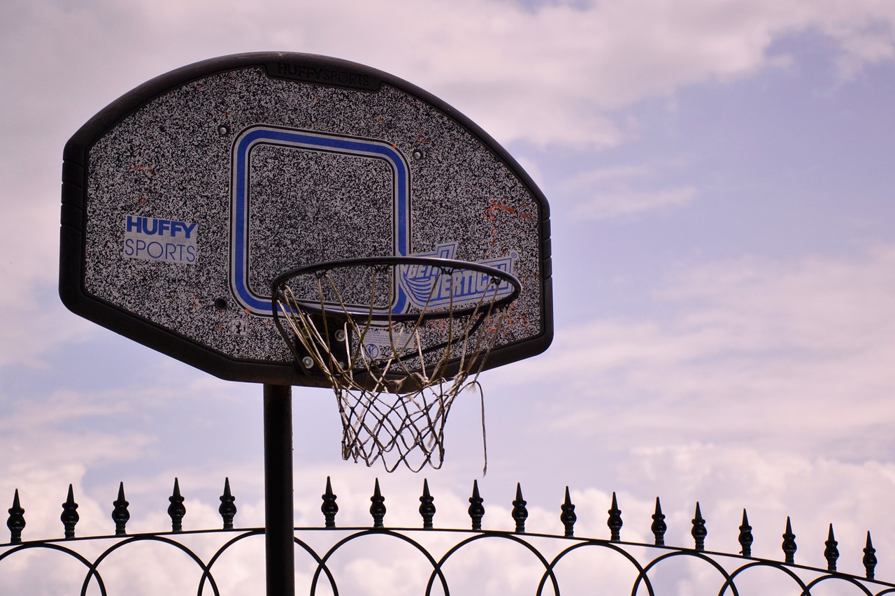 basketball basket free pictures free photo