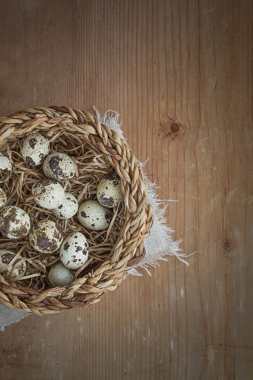 basket egg quail eggs free photo