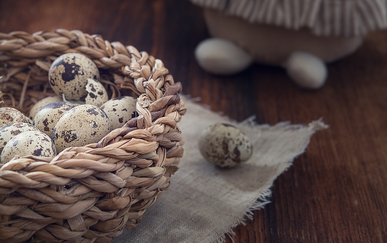 basket egg quail eggs free photo