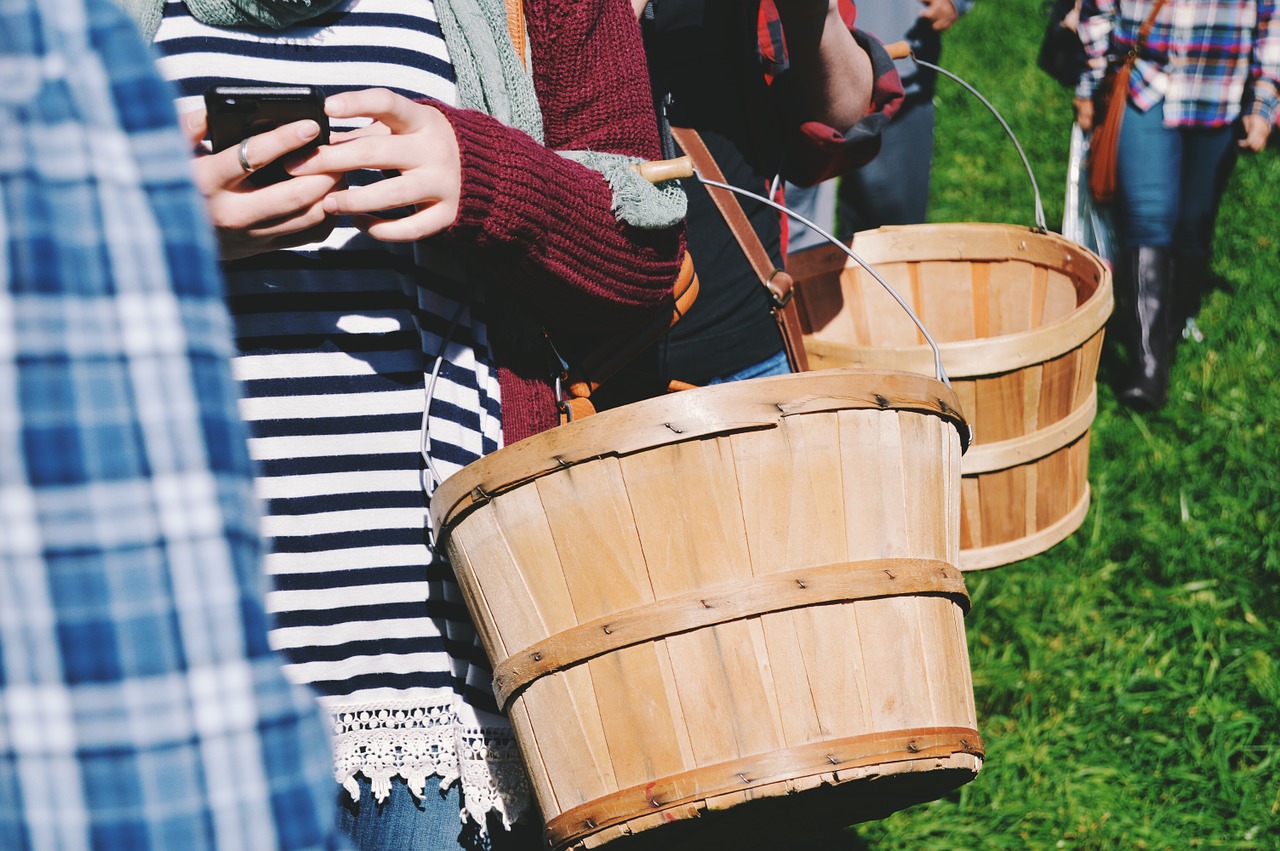 basket people harvest free photo