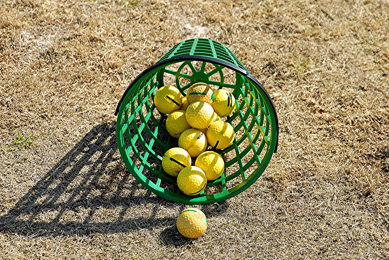 basket golf balls golf free photo