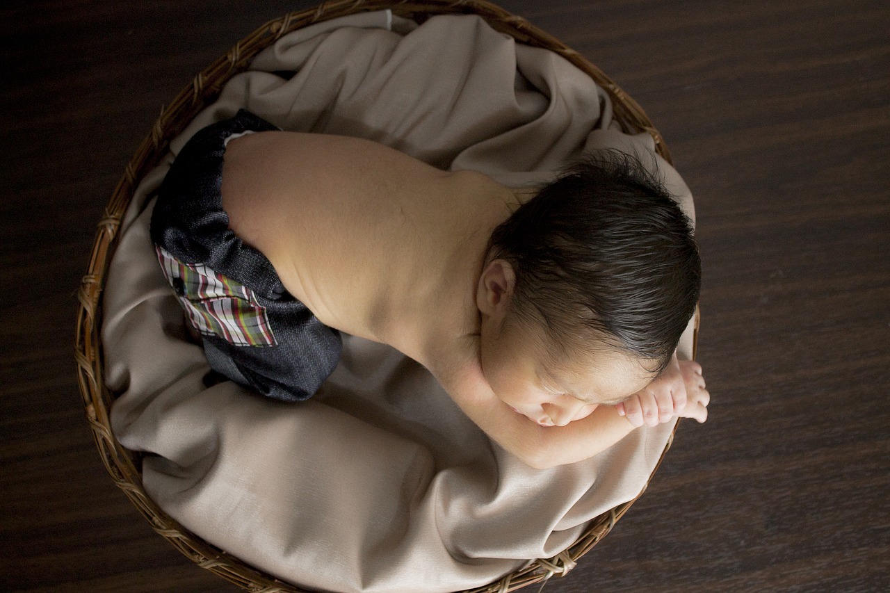 basket baby sleeping free photo