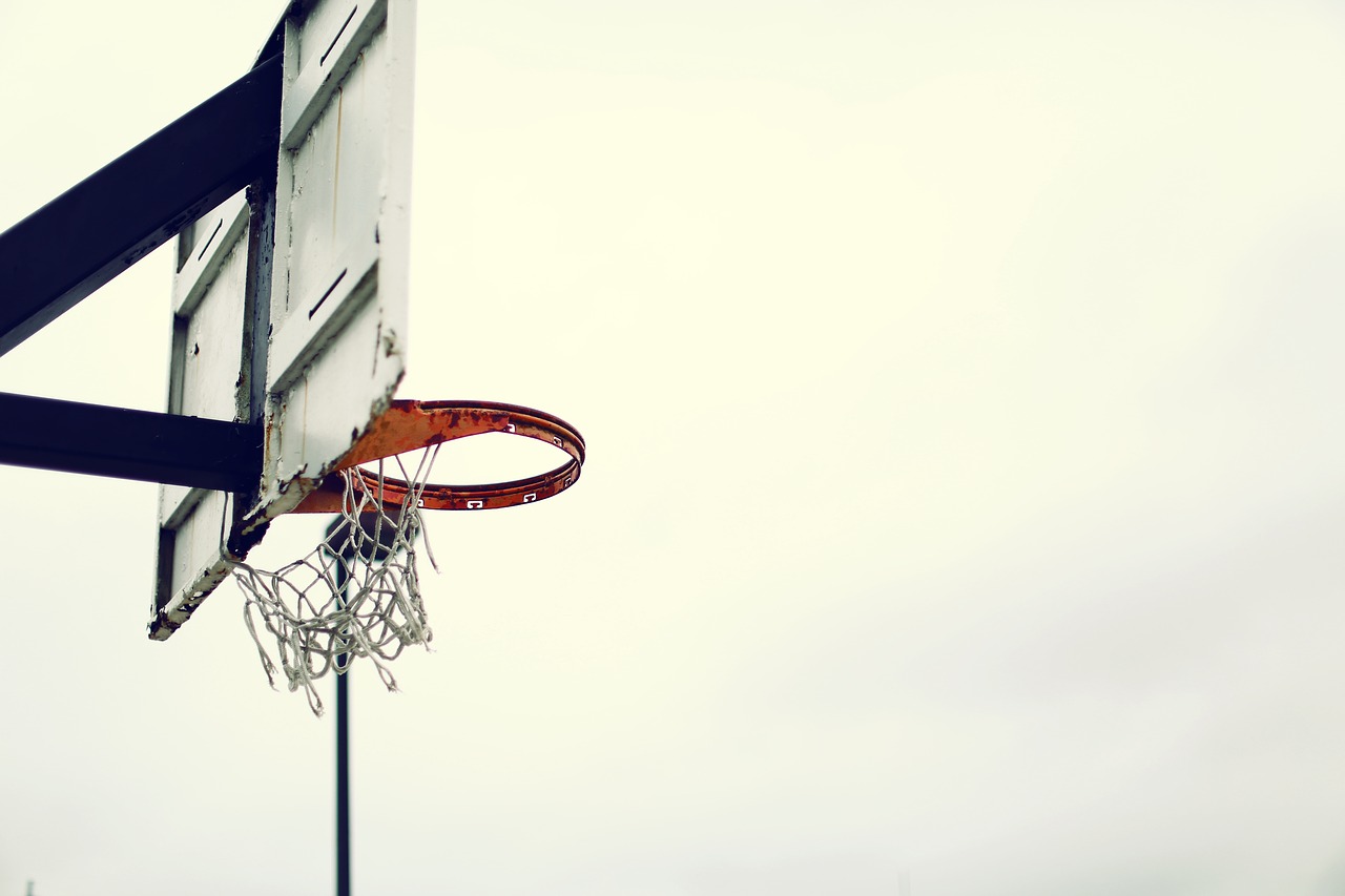 basket basketball basketball hoop free photo
