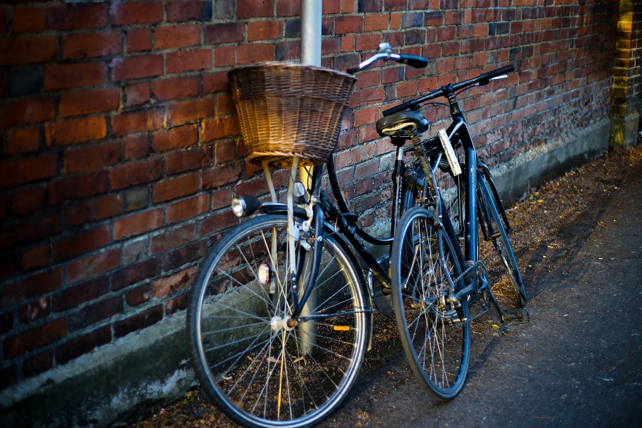 basket bicycles bikes free photo