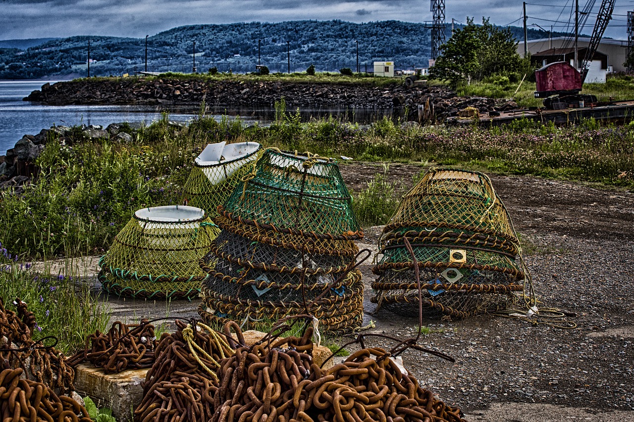 basket cage fishing free photo