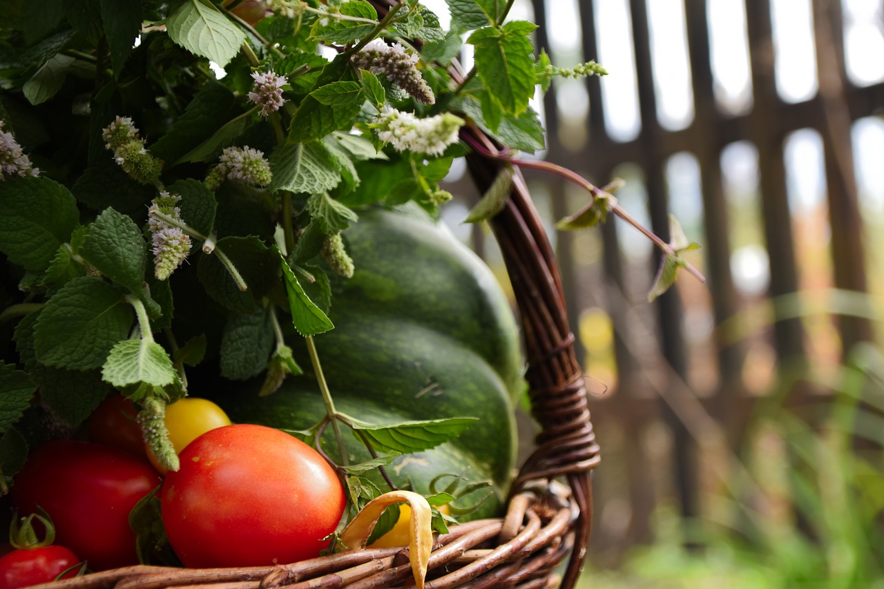 basket vegetables scuttle free photo