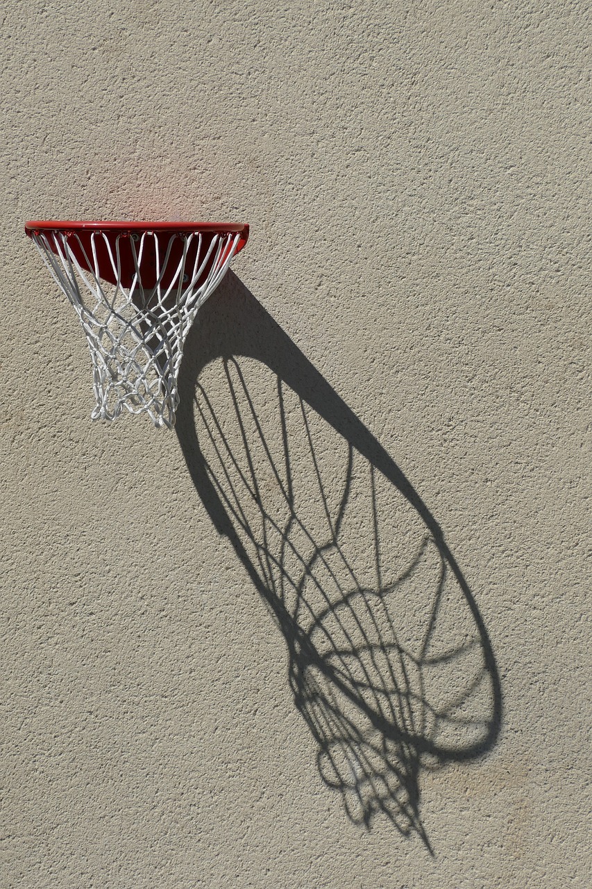 basket basketball sports free photo