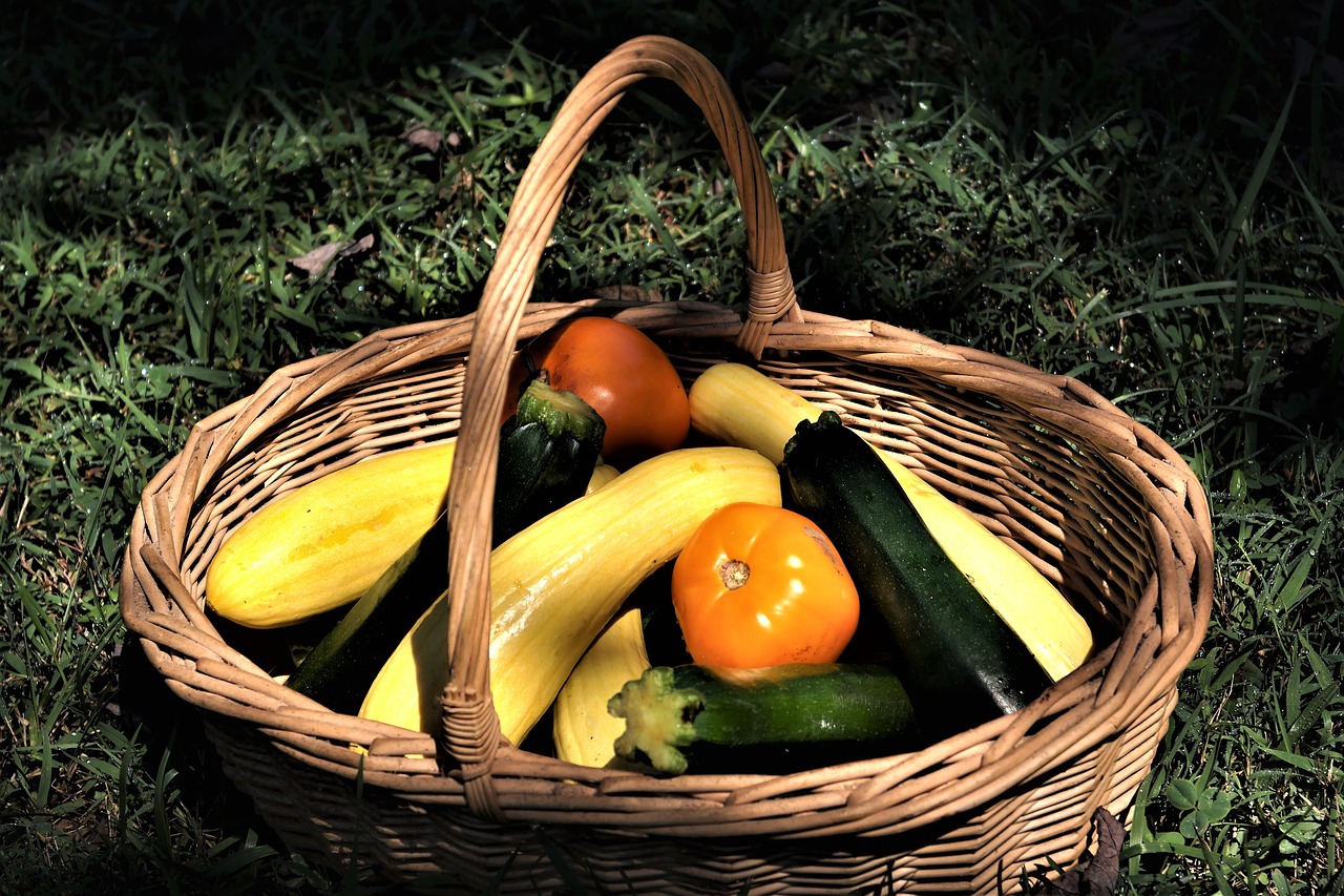 basket squash zucchini free photo