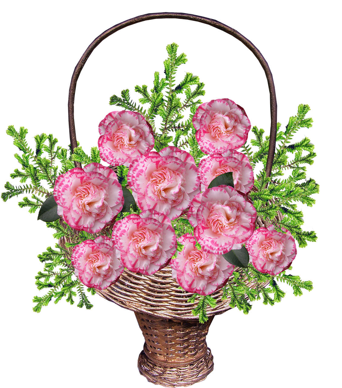 basket camellias arrangement free photo