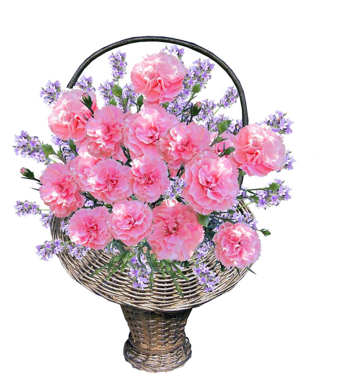 basket carnations pink free photo