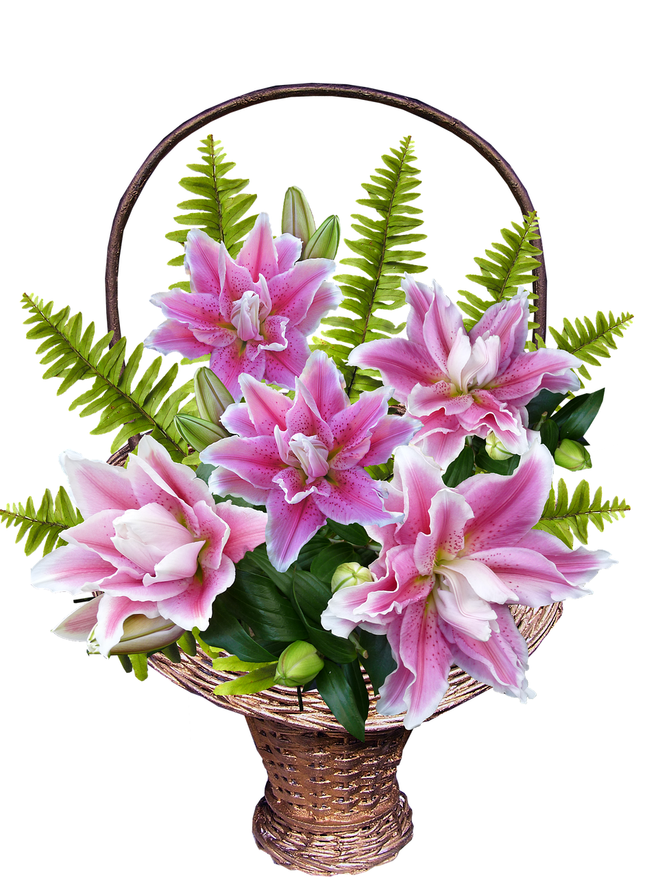 basket lily flowers free photo