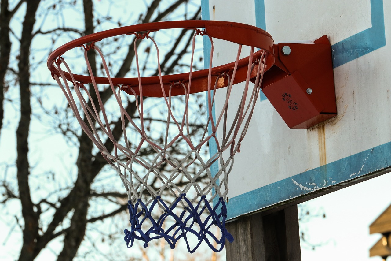 basket basketball sport free photo