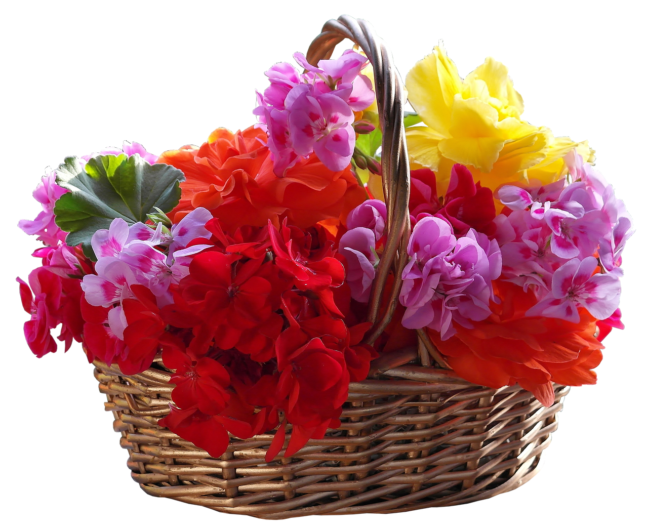 basket bouquet flower free photo