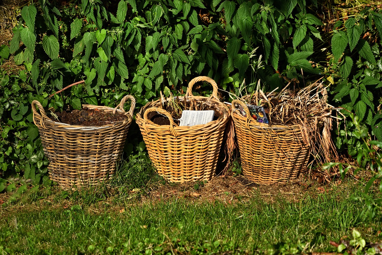 basket  cane  woven free photo