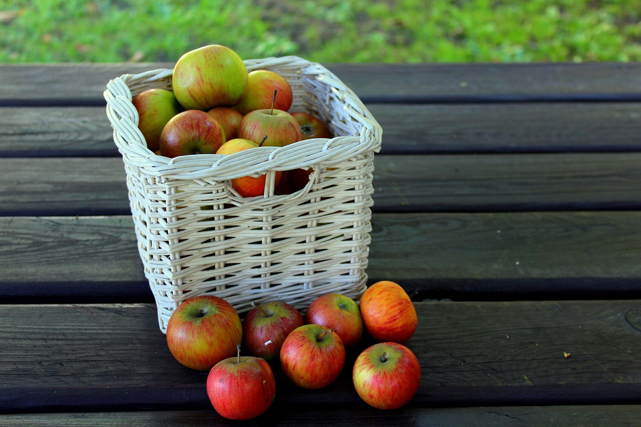 basket  fruit  basket with apples free photo