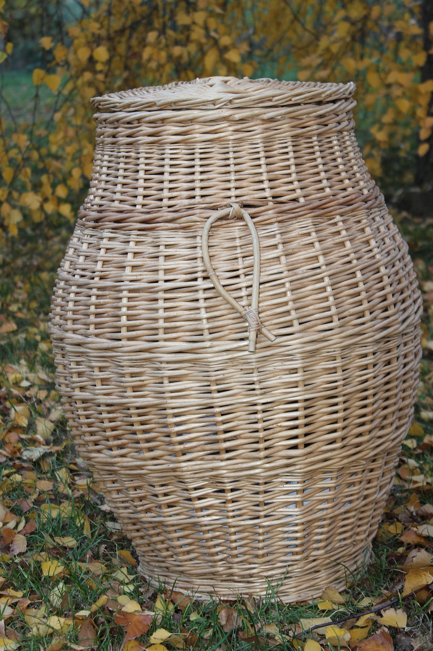 basket  wicker  laundry basket free photo