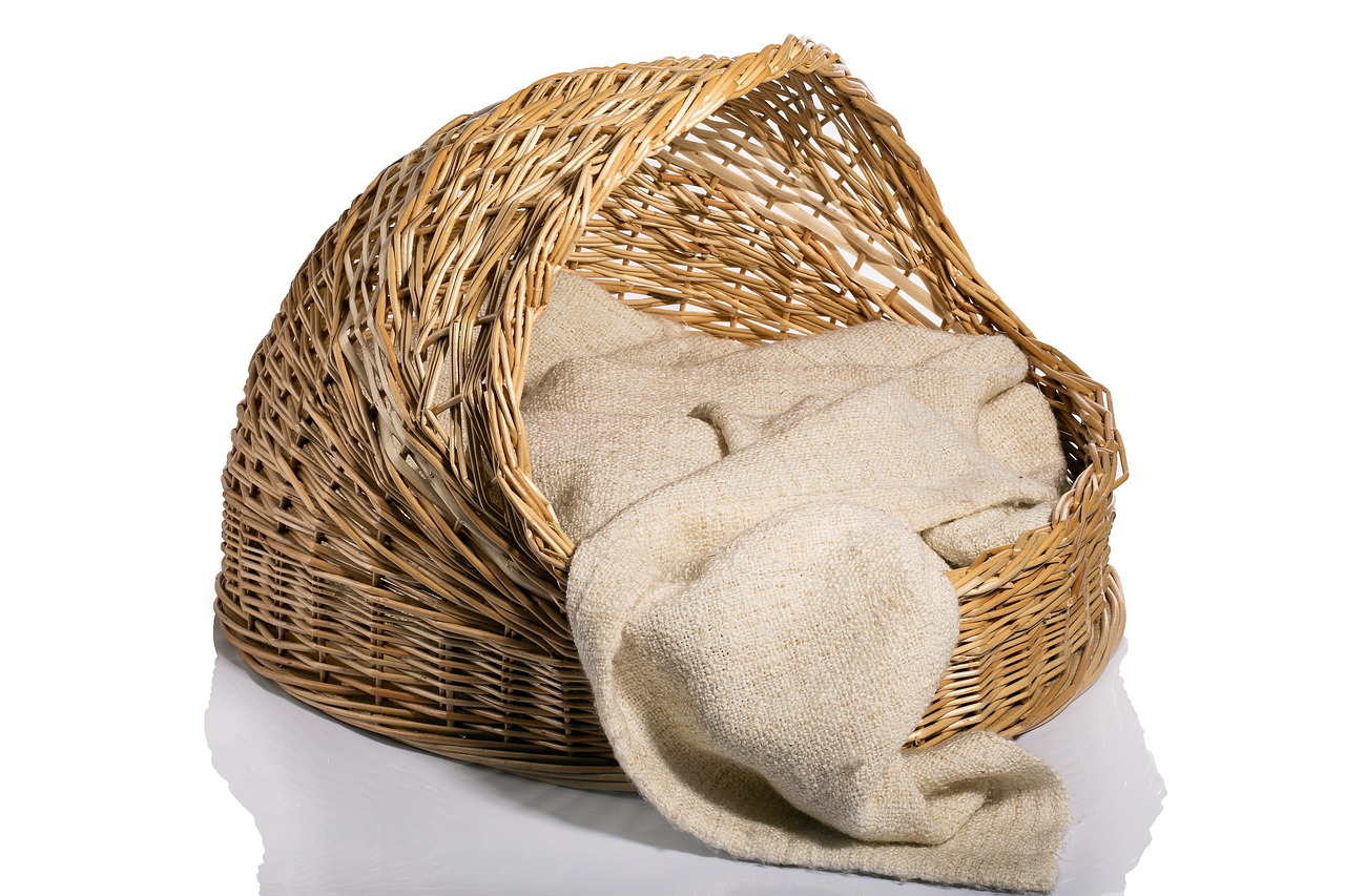 basket  wicker  art free photo