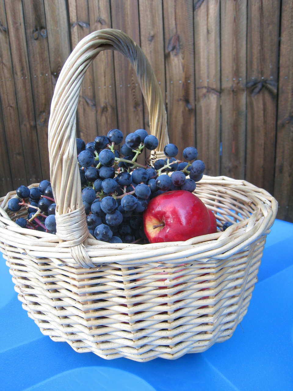basket apple fruit free photo